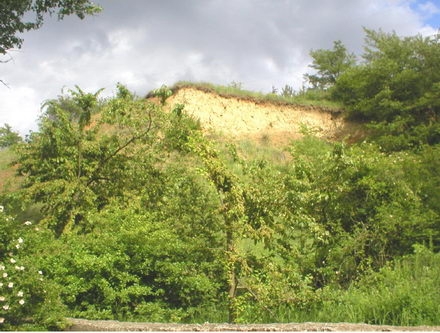 Locul fosilifer Movila Banului