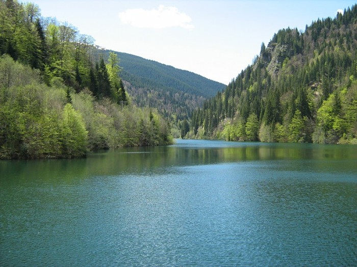 Lacul Petrimanu, Valcea