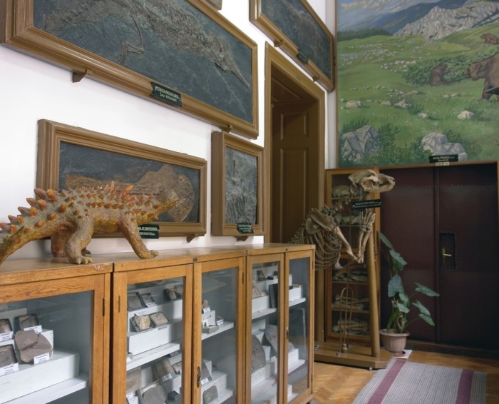 Muzeul de Paleontologie-Stratigrafie al Universitatii Babes Bolyai