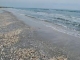 Plaja Corbu - corbu