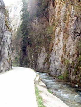 Pensiunea Valea Cu Brazi | Cazare Dambovicioara