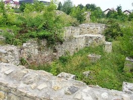 Ruinele Curtii Domnesti din Brancoveni