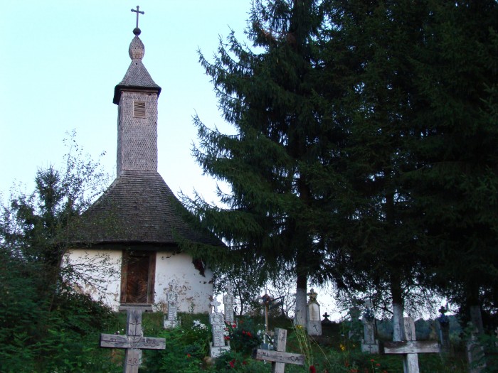 Biserica de lemn din Povergina
