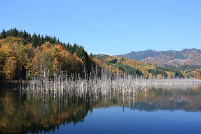 Lacul Cuiejdel (Lacul Crucii)