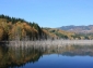 Lacul Cuiejdel (Lacul Crucii) - garcina