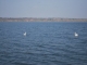 Lacul Bucecea   - hantesti