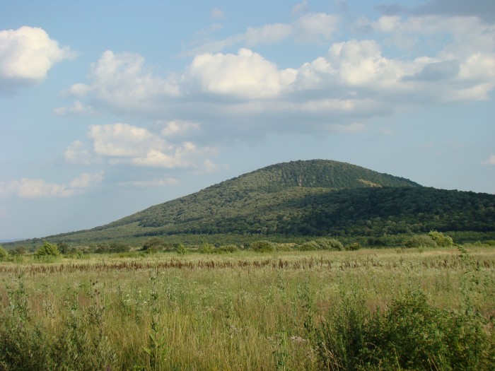 Rezervatia naturala Dealul Mocrea
