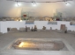 Muzeul de arheologie Callatis
