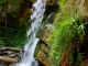 Cascada Muntioru - milcovul