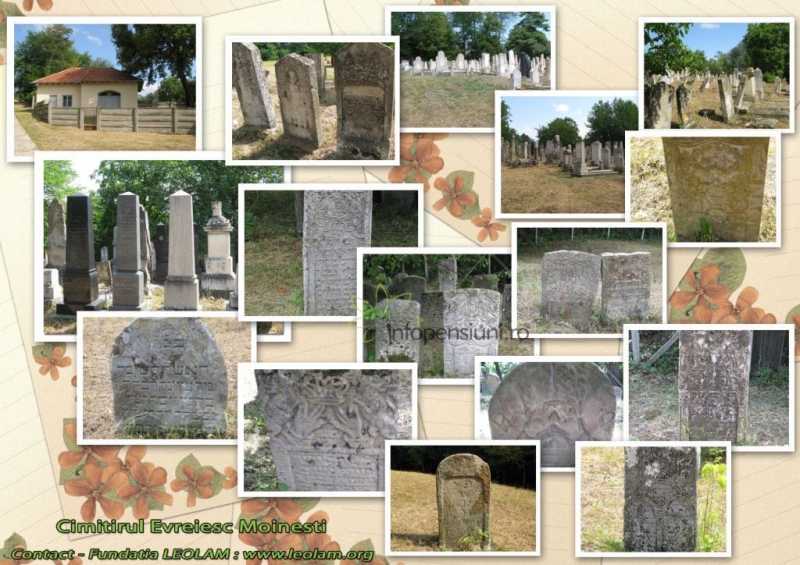 Cimitirul evreiesc Moinesti
