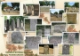Cimitirul evreiesc Moinesti - moinesti