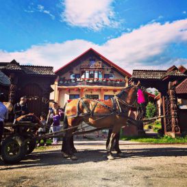 Pensiunea Maramures | Cazare Ocna Sugatag