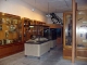 Muzeul de Stiinte Naturale Tinca - oradea