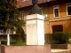 Monumentul lui Aurel Vlaicu din Orastie - orastie
