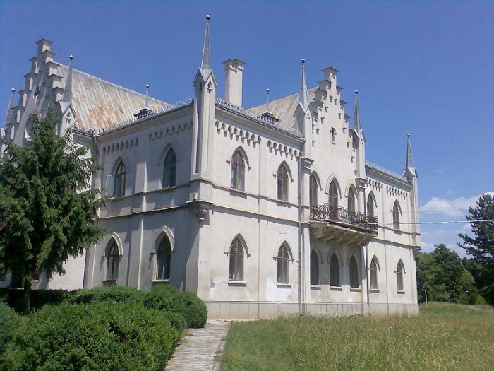 Palatul Alexandru Ioan Cuza Ruginoasa