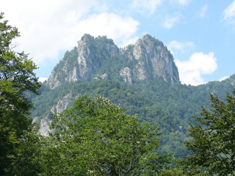 Trasee turistice - zona Muntii Capatanii: Barbatesti - Valea Otasaului - Valea Bulzului - Varful Tucla - Curmatura Builei