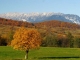 Trofeul Brasovului - Piatra Craiului