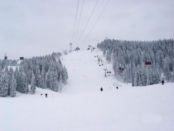 Partie ski Ruia Poiana Brasov