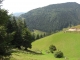 Runsilvania Wild Race