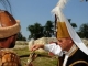 Festivalul Medieval Turnirul Cetatilor