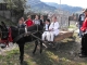 Expopastoralis - Povestea branzei