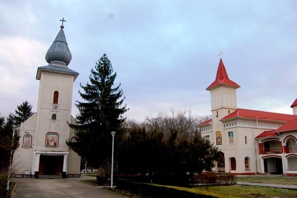 Manastirea Timiseni din Sag