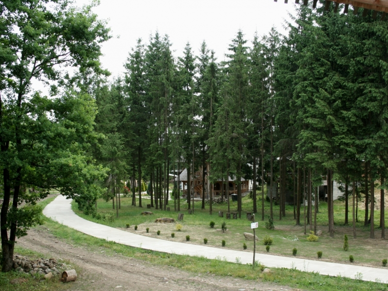 Parcul Dendrologic Livada - Sapanta