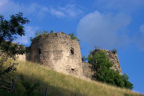 Cetatea Sebesului