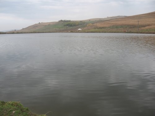 Lacul Daia 