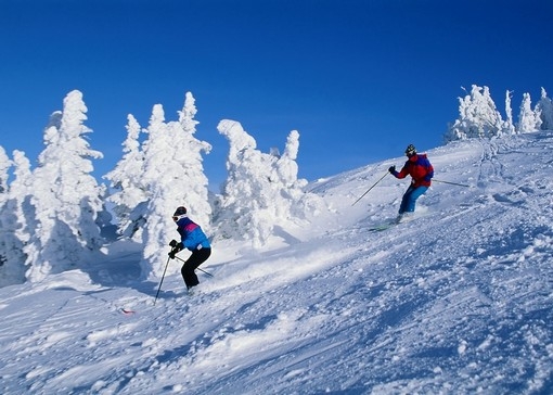 Partie ski Malaxa Sinaia