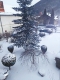 Vila Alexandra | Cazare Sinaia