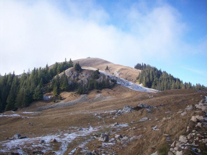 Rezervatia naturala Fanetele montane Todirescu