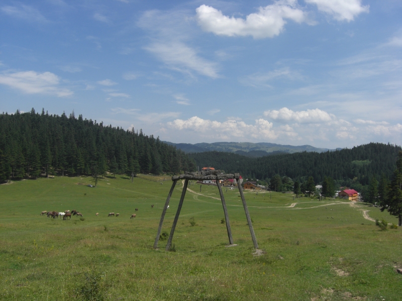 Traseul Comuna Soveja - Sezatoarea Lupilor - Muntele Zboina Neagra