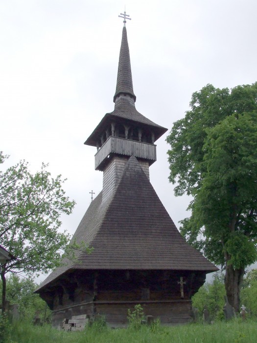 Biserica de lemn din Rieni