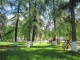 Parcul central din Suceava - suceava