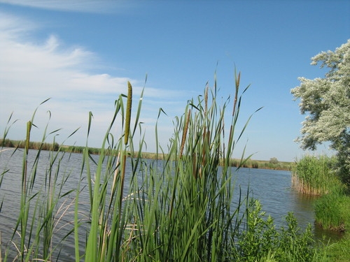 Lacul Jijila 
