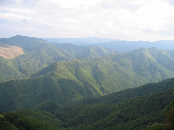 Traseul Saua Golici (Muntele Coza) - paraul Mioarele - comuna Barsesti