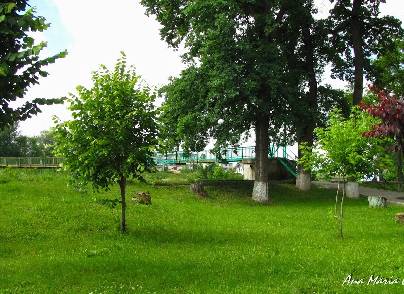Parcul Central din Turda