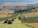 Pensiunea Casa Orza - Cazare Maramures