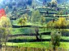 Pensiunea Negrea - Cazare Maramures