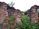Ruinele Bisericii Vechi din Traisteni - valea-doftanei