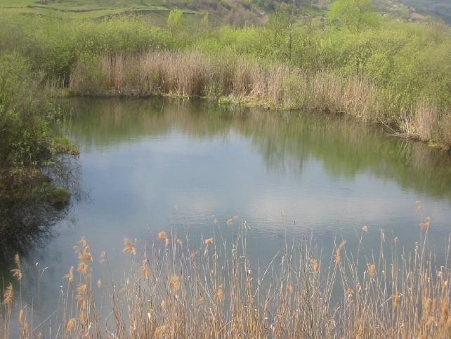 Lacul Zagra sau Taul lui Alac
